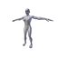 Femme 1 86m basemesh