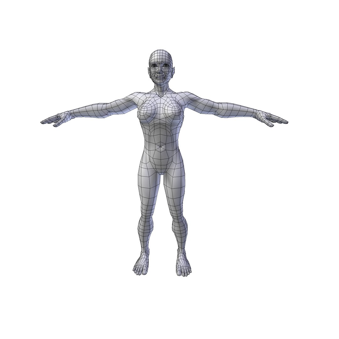 Woman 1 86m basemesh 3D model https://p.turbosquid.com/ts-thumb/5R/kKoy7L/qJ/woman1.86wire0002/png/1730243343/1920x1080/fit_q87/3626a7ad75d7ea426f25423fcb4a5a211800ecab/woman1.86wire0002.jpg
