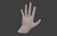 Low Poly Rigged Man Hand