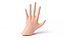 Low Poly Rigged Man Hand