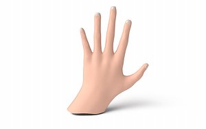 Low Poly Rigged Man Hand