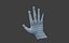 Low Poly Rigged Man Hand
