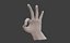 Low Poly Rigged Man Hand