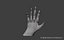 Low Poly Rigged Man Hand