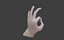 Low Poly Rigged Man Hand