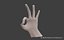 Low Poly Rigged Man Hand