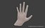 Low Poly Rigged Man Hand