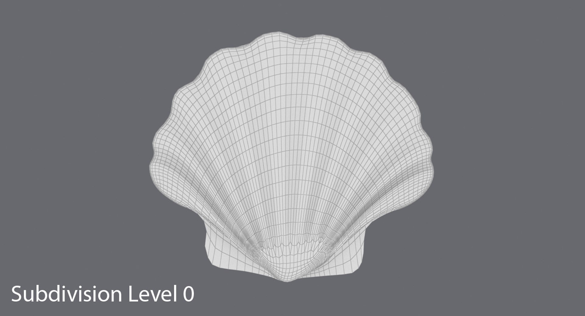 3D clam-shells---shell-02 - TurboSquid 1155452