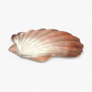 Clam Shell 02