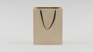 Shopping Bag model