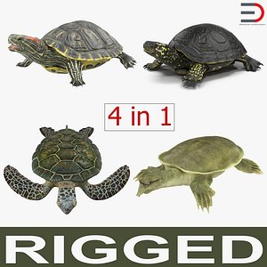 3d rigged turtles 2 modeled