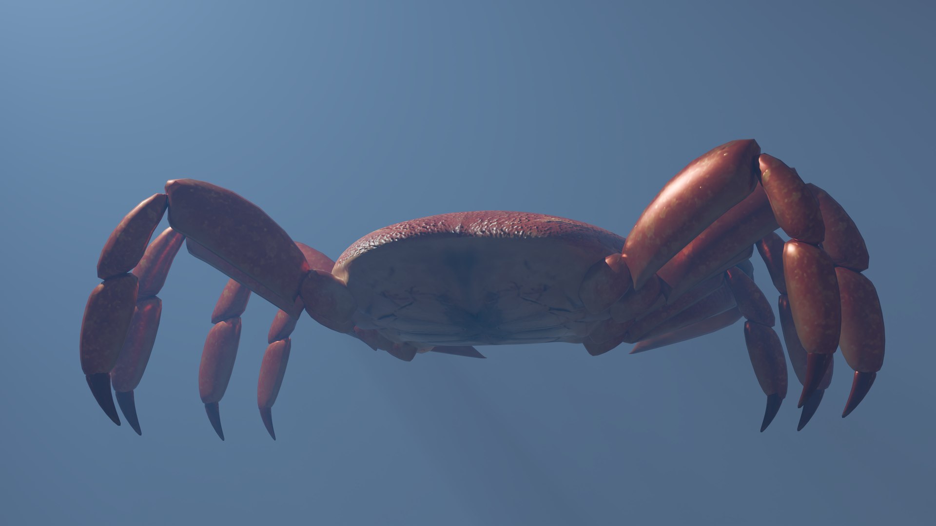 Crabs 3D - TurboSquid 2209729