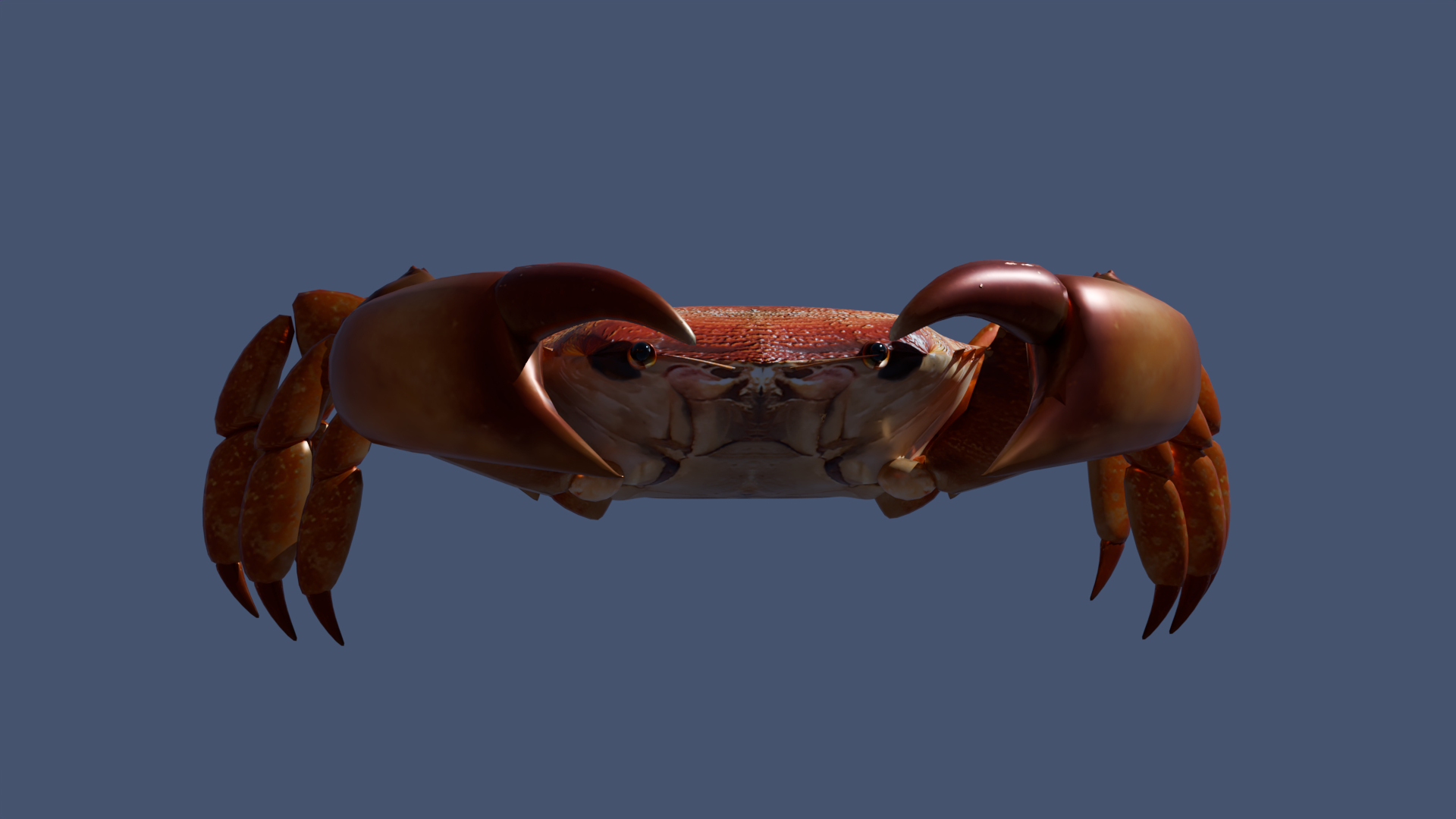 Crabs 3D - TurboSquid 2209729