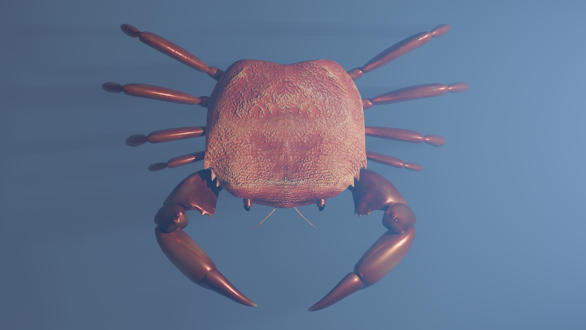 Crabs 3D - TurboSquid 2209729