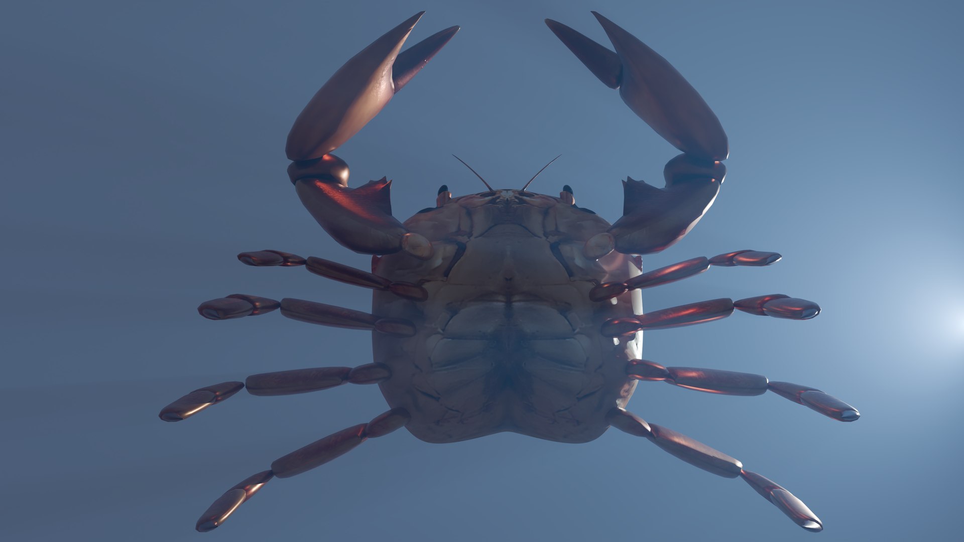 Crabs 3D - TurboSquid 2209729