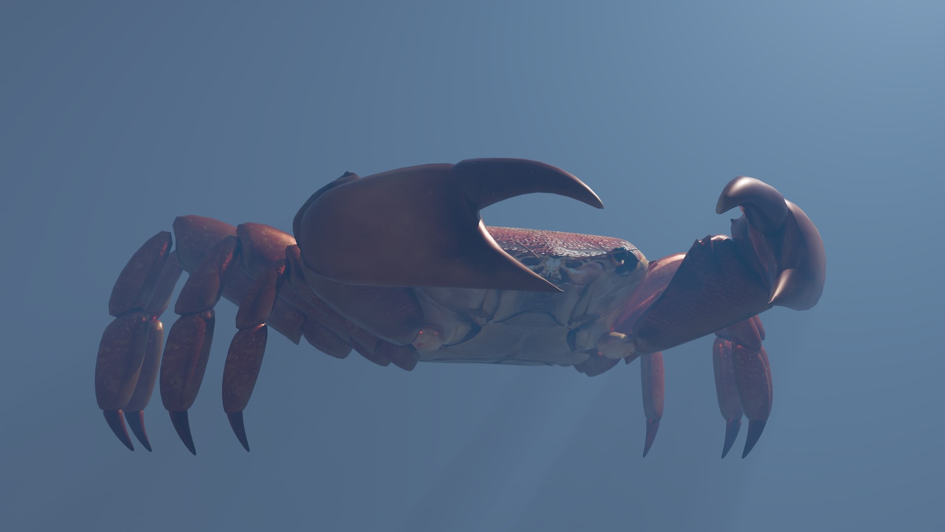 Crabs 3D - TurboSquid 2209729