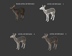 roe fawn 3d fbx