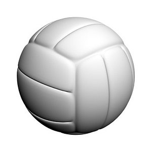 volleyball ball max