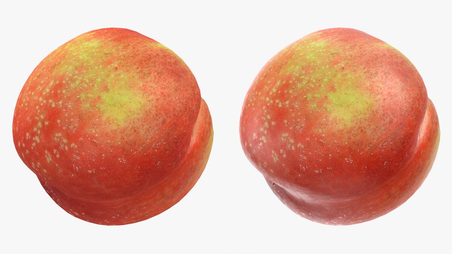 3D Nectarine 04 - 3D Scanned model https://p.turbosquid.com/ts-thumb/5S/TDv9mz/Co/11_twin/png/1793114617/1920x1080/fit_q87/e190a9a1f5a4cd104aa107690e85252315c11c64/11_twin.jpg