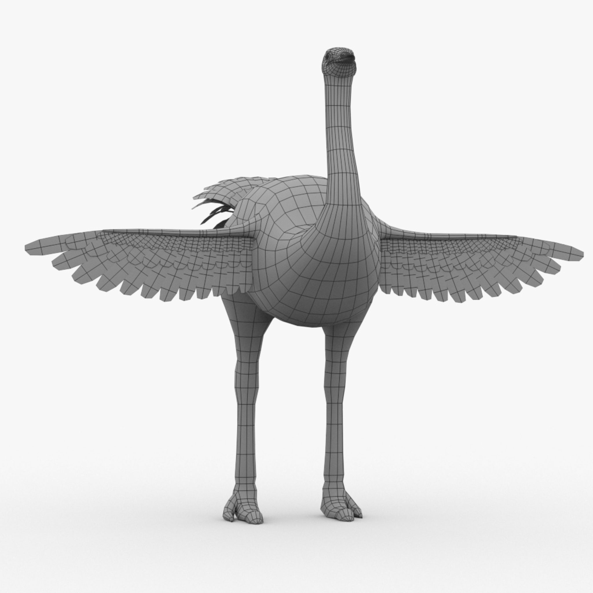 modelo 3d ostrich basemesh - TurboSquid 2007136