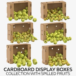 cardboard display boxes spilled model