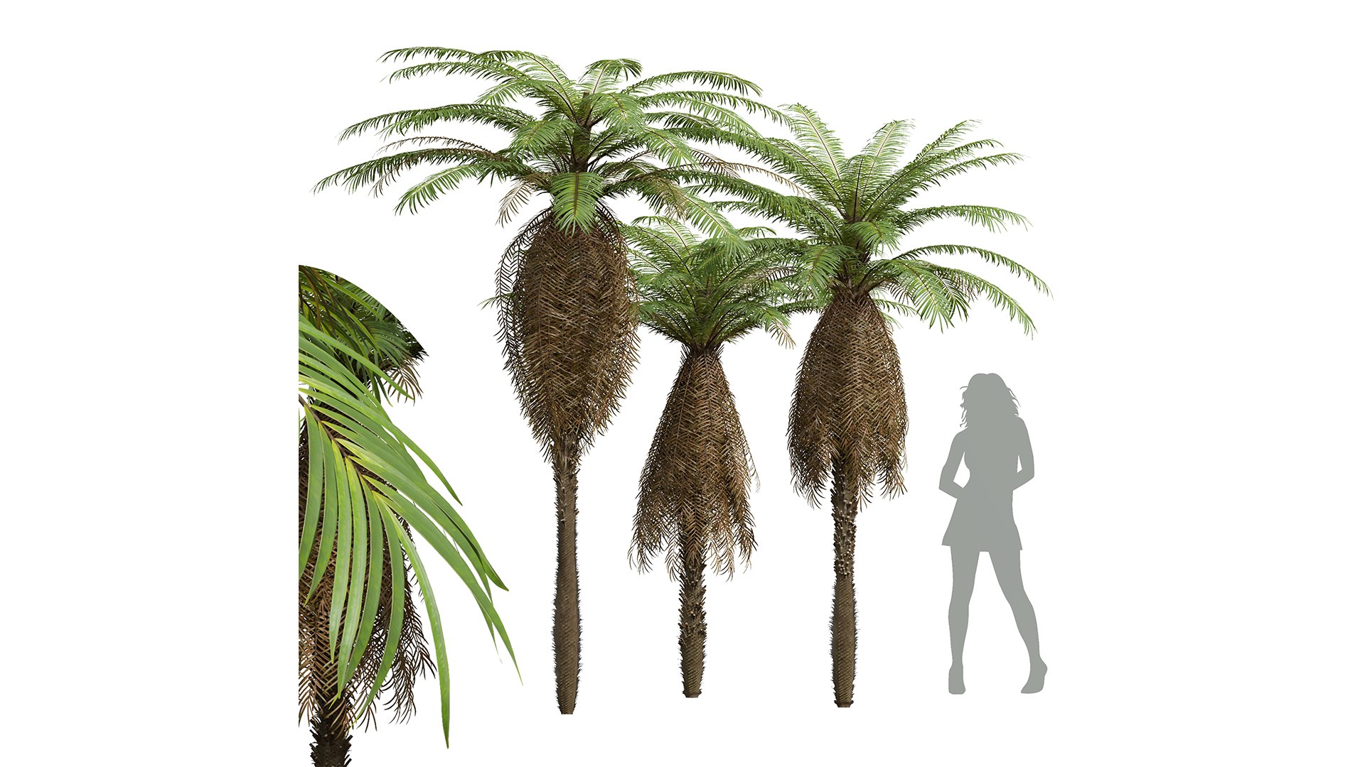 9Different SETS Of Tree Set Vol 44 3D - TurboSquid 2241329
