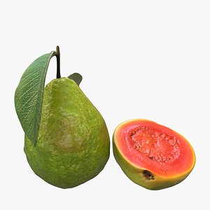 Green Guava model