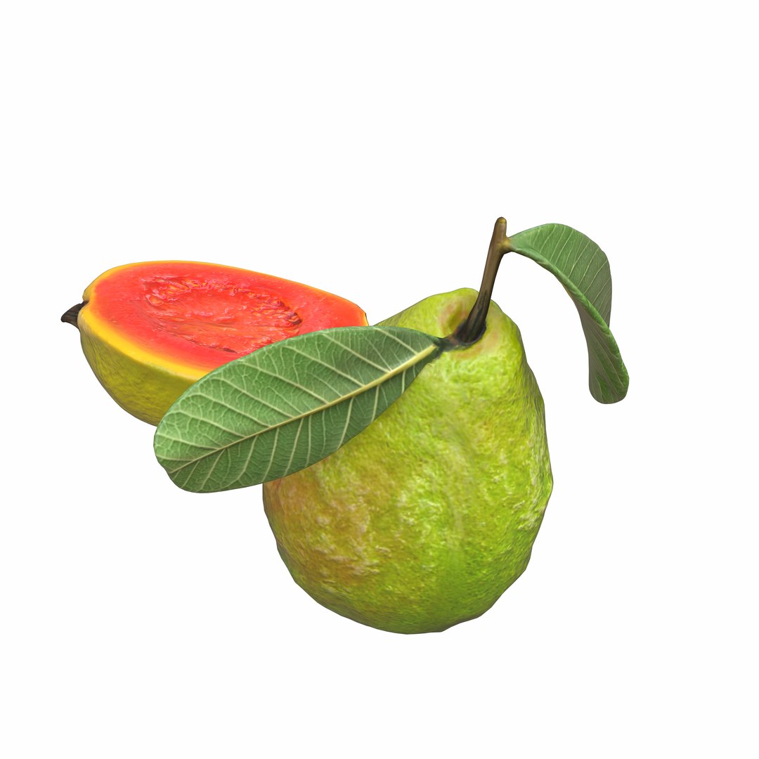 Green Guava Model - TurboSquid 2380271