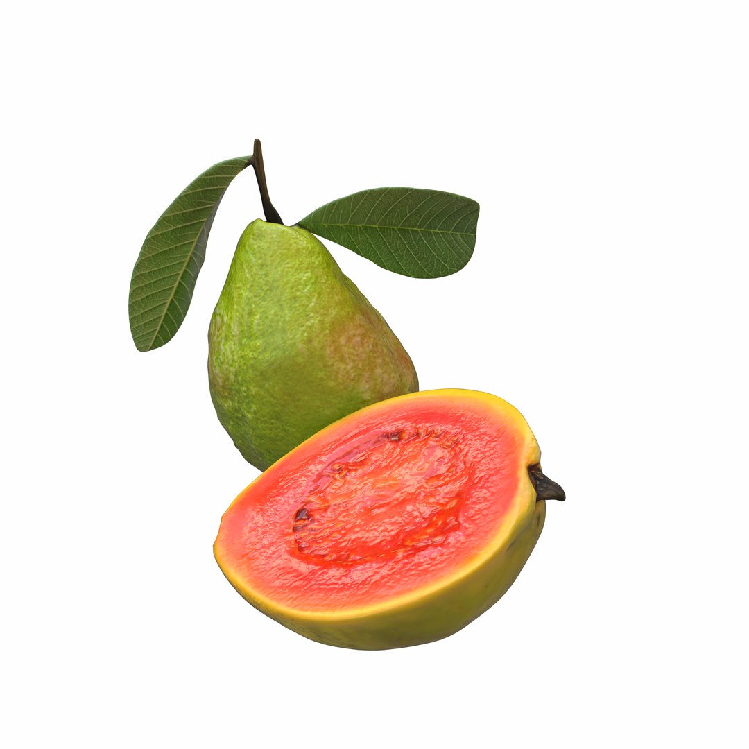 Green Guava Model - TurboSquid 2380271