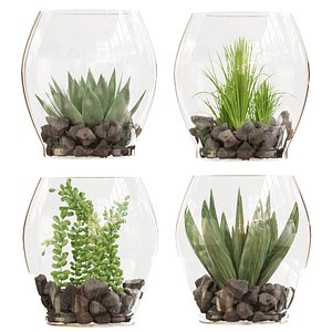 Collection plant vol 71 - leaf 3D