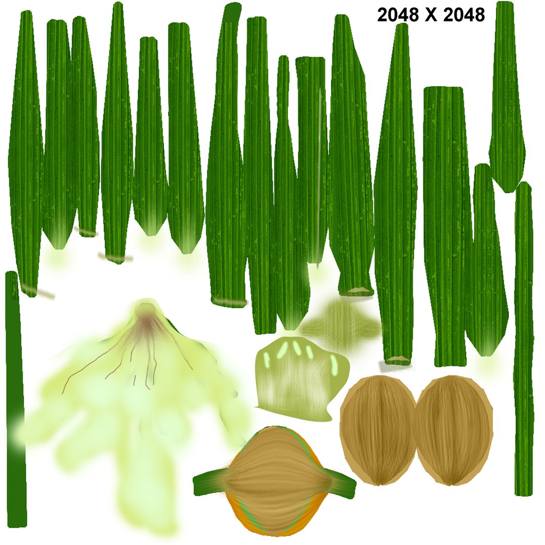 3d Model Fibrous Root