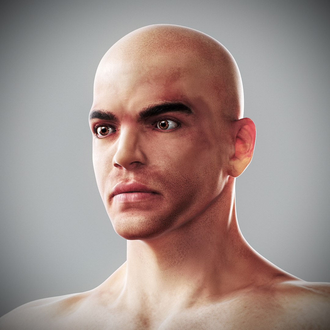 3d human male anatomy - model https://p.turbosquid.com/ts-thumb/5T/D8w3Cx/BK/anatomymalefull057/jpg/1741731239/1920x1080/fit_q87/0c0a26c32244ccdc814a34a8ebc4d189193fc154/anatomymalefull057.jpg