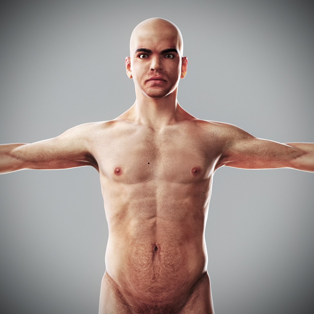 3d human male anatomy - model https://p.turbosquid.com/ts-thumb/5T/D8w3Cx/UO/anatomymalefull055/jpg/1741731237/1920x1080/fit_q87/b6f41d0815ddb15a1d14f6974b969bdf92aa78d4/anatomymalefull055.jpg