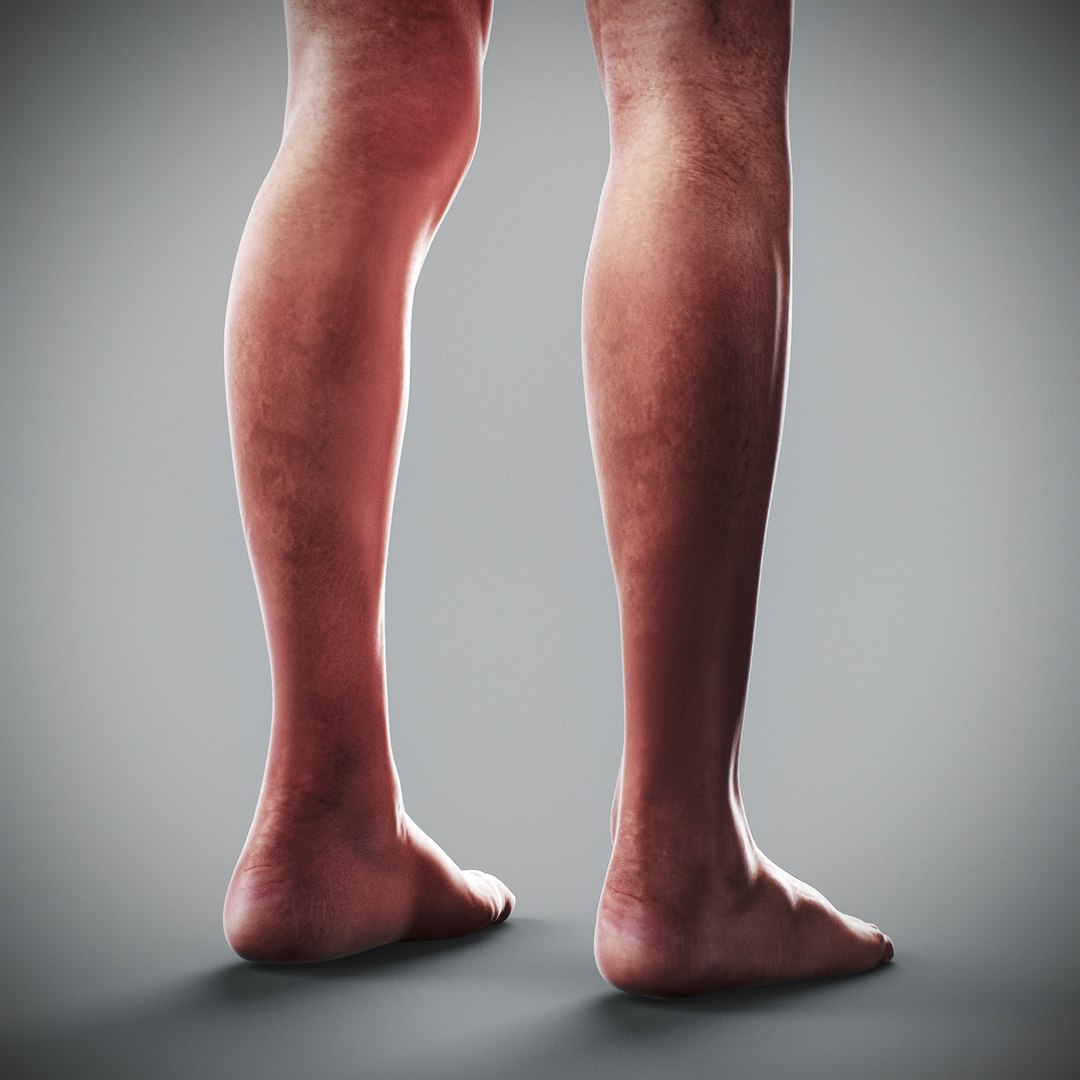 3d human male anatomy - model https://p.turbosquid.com/ts-thumb/5T/D8w3Cx/XD/anatomymalefull064/jpg/1741731245/1920x1080/fit_q87/da8dd31650001838fd1e23a48286d80a8ecf34ed/anatomymalefull064.jpg