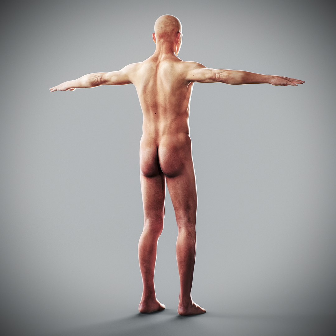 3d human male anatomy - model https://p.turbosquid.com/ts-thumb/5T/D8w3Cx/iX/anatomymalefull066/jpg/1741731248/1920x1080/fit_q87/382f8fa81541e3caf25b8ed32f3e107ee6ddb5b0/anatomymalefull066.jpg