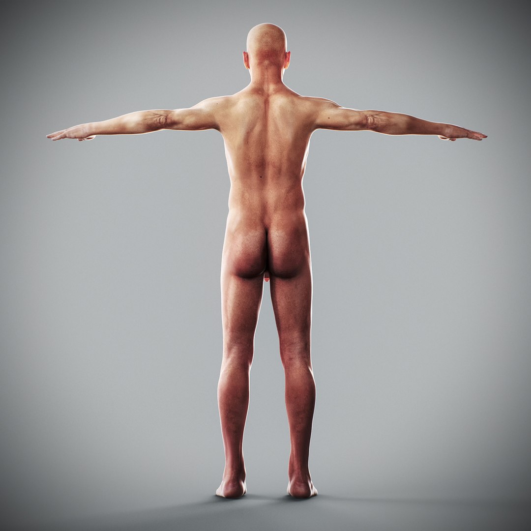 3d human male anatomy - model https://p.turbosquid.com/ts-thumb/5T/D8w3Cx/lU/anatomymalefull004/jpg/1741731198/1920x1080/fit_q87/35fce18007ffad06e98d657c835a1cdd20ba0c78/anatomymalefull004.jpg