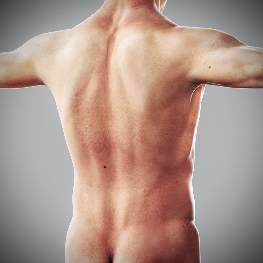 3d human male anatomy - model https://p.turbosquid.com/ts-thumb/5T/D8w3Cx/qh/anatomymalefull060/jpg/1741731252/1920x1080/fit_q87/701470767ef35d14f0cbaff67fb383b06eac1874/anatomymalefull060.jpg
