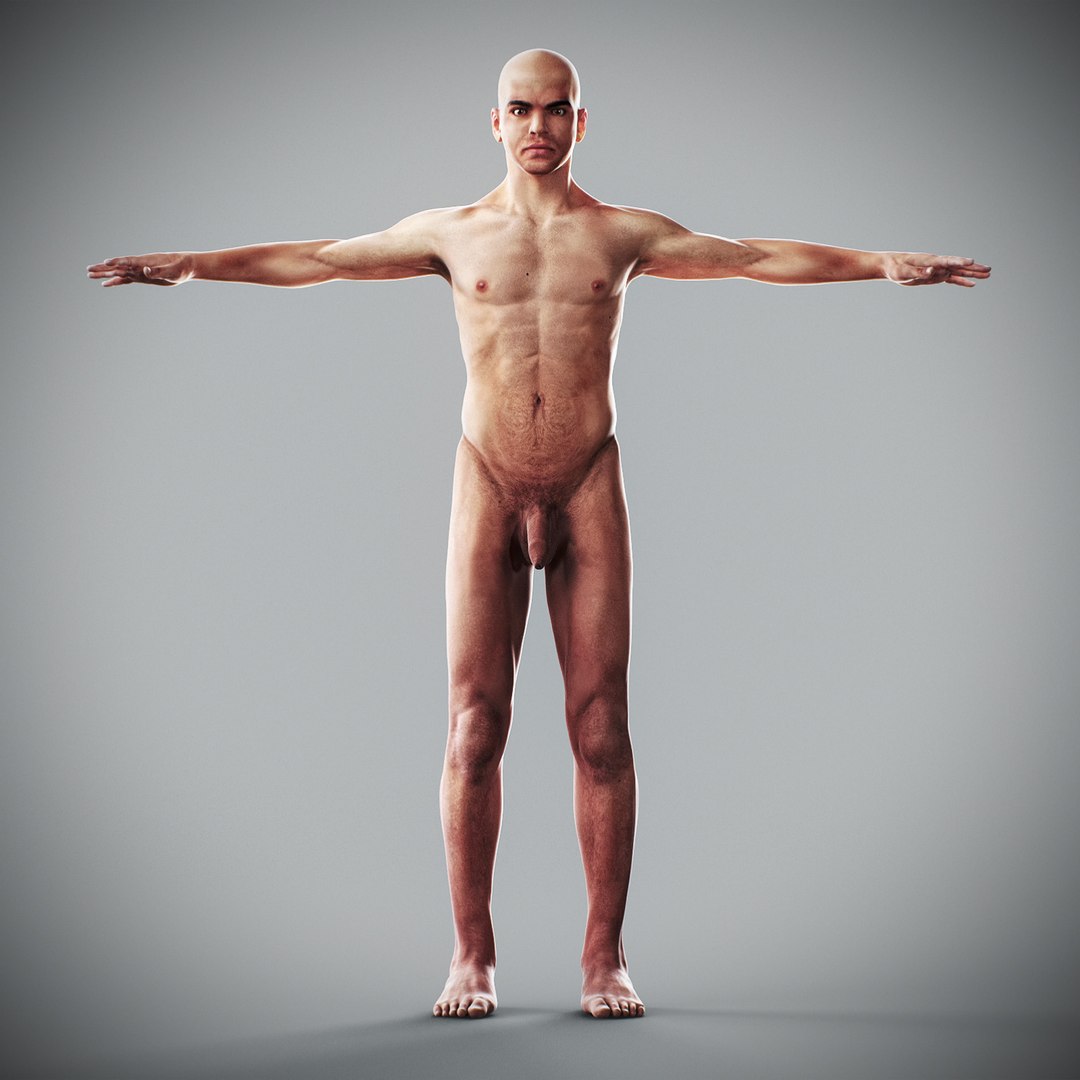 3d human male anatomy - model https://p.turbosquid.com/ts-thumb/5T/D8w3Cx/uF/anatomymalefull003/jpg/1741731197/1920x1080/fit_q87/705c3db4cf8694f9716185057a458ac5ed794500/anatomymalefull003.jpg