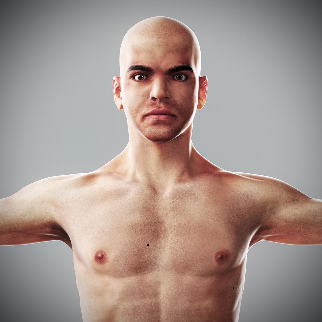 3d human male anatomy - model https://p.turbosquid.com/ts-thumb/5T/D8w3Cx/yA/anatomymalefull001/jpg/1741731208/1920x1080/fit_q87/954a25efcee46c21cca1e81d5fa5f6b1f8ca7280/anatomymalefull001.jpg