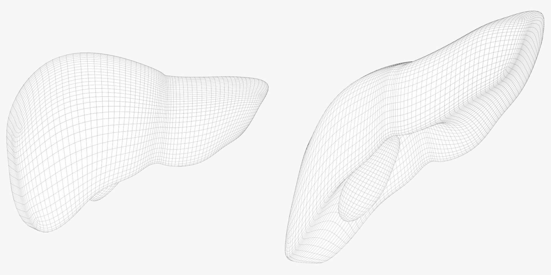 3D Model Human Liver Gallbladder - TurboSquid 1151882