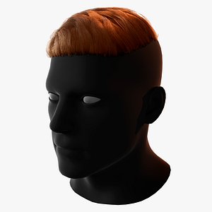 Male Haircut 1 3D model