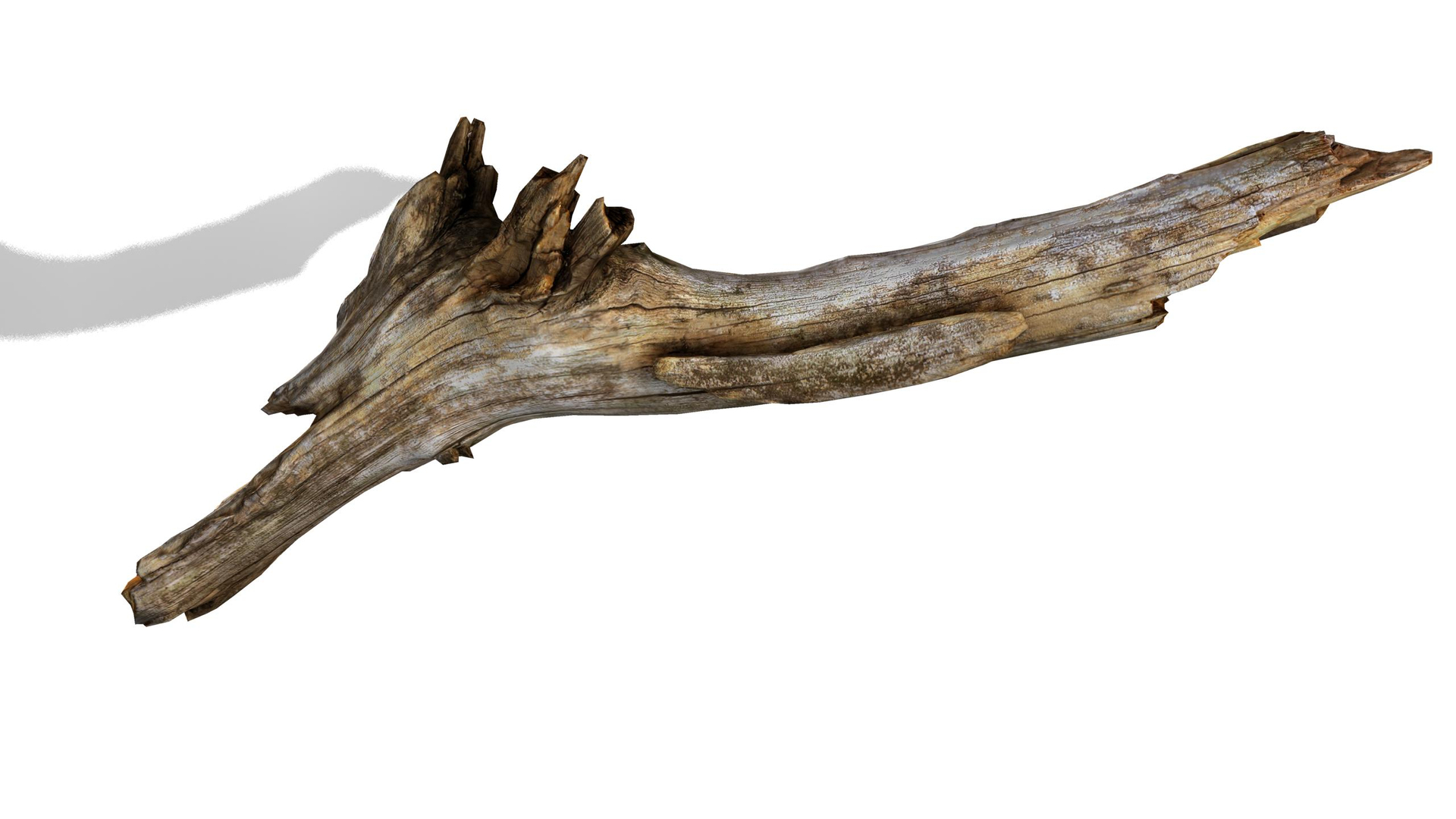 Branch Rotten Wood 3ds