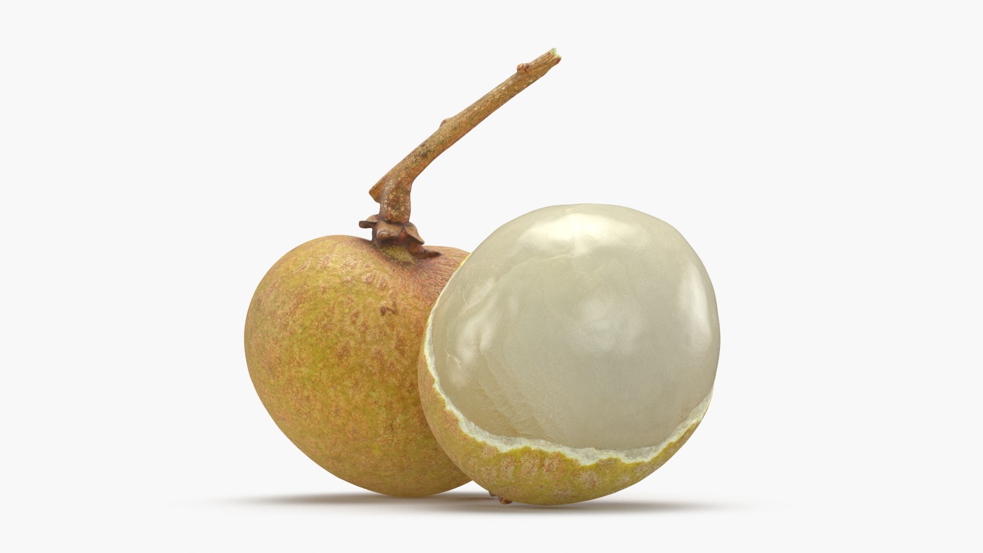 3D model Longan Fruit https://p.turbosquid.com/ts-thumb/5T/v0z8ws/E5/longanfruit_b0004/jpg/1695752822/1920x1080/fit_q87/659ef6236996cb0ccd72aa311a417839dd39d24b/longanfruit_b0004.jpg