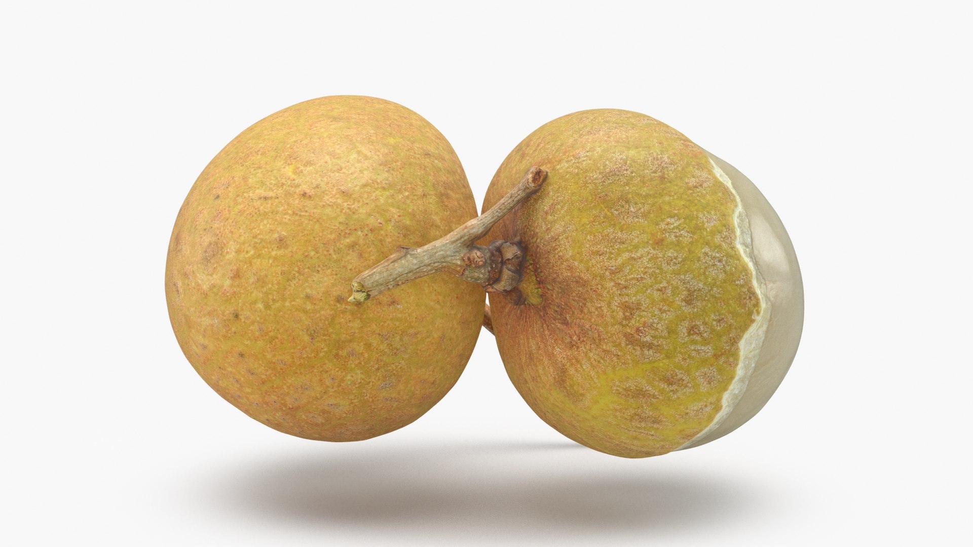3D model Longan Fruit https://p.turbosquid.com/ts-thumb/5T/v0z8ws/FJ/longanfruit_b0014/jpg/1695752827/1920x1080/fit_q87/49951024c6ee6861c1441f7c7cc67f37341092c6/longanfruit_b0014.jpg