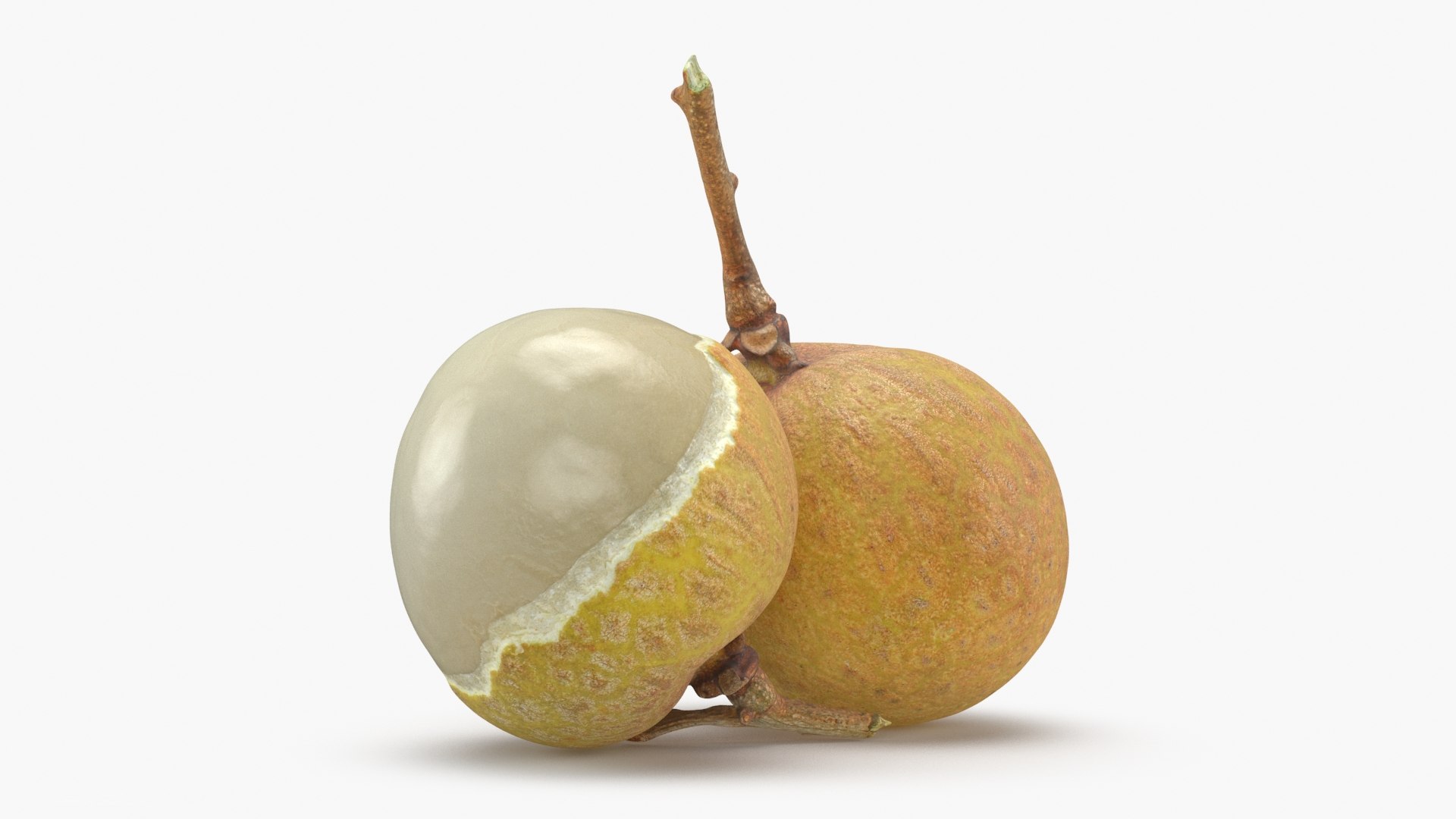 3D model Longan Fruit https://p.turbosquid.com/ts-thumb/5T/v0z8ws/h6/longanfruit_b0010/jpg/1695752823/1920x1080/fit_q87/cc33945a0779e8dc59b84b04f950c85b2b642512/longanfruit_b0010.jpg