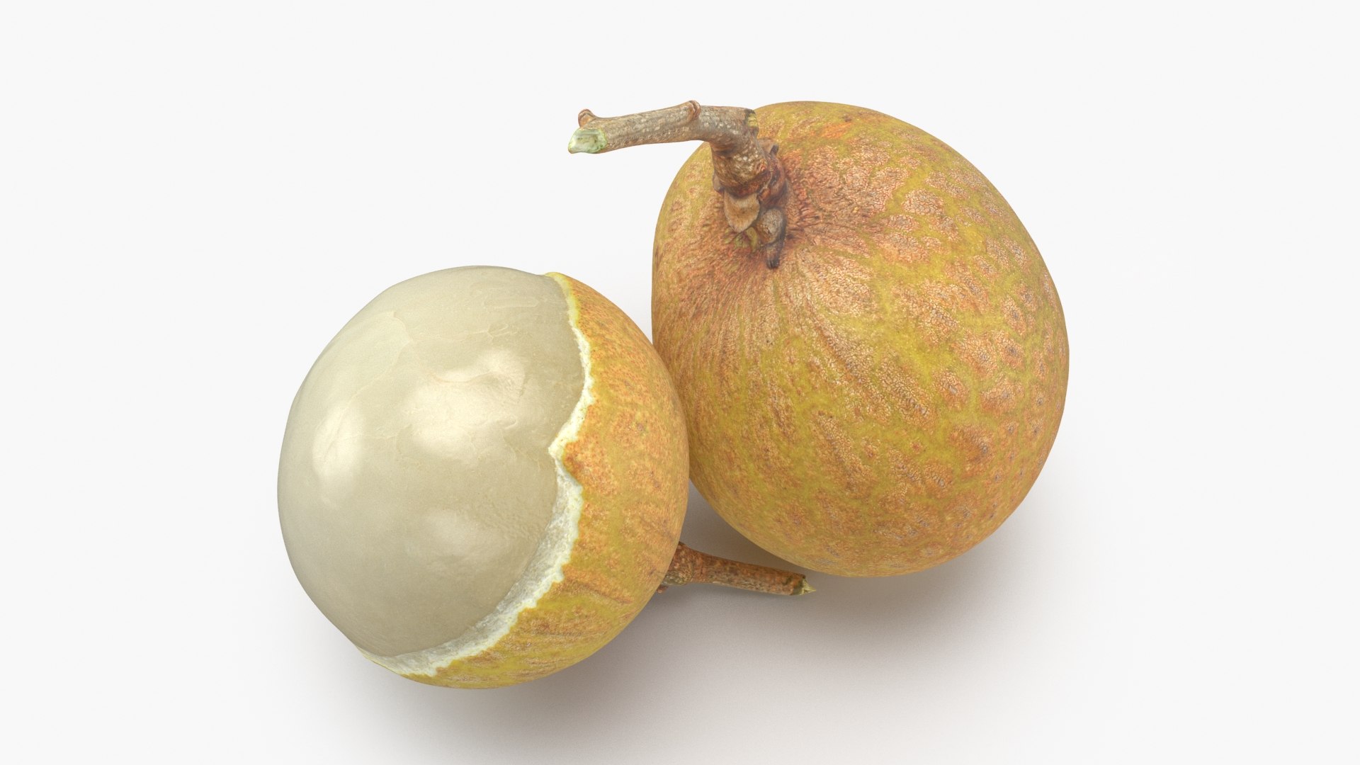 3D model Longan Fruit https://p.turbosquid.com/ts-thumb/5T/v0z8ws/hS/longanfruit_b0012/jpg/1695752827/1920x1080/fit_q87/59352e4005c7d45496101859106c7479a088d484/longanfruit_b0012.jpg
