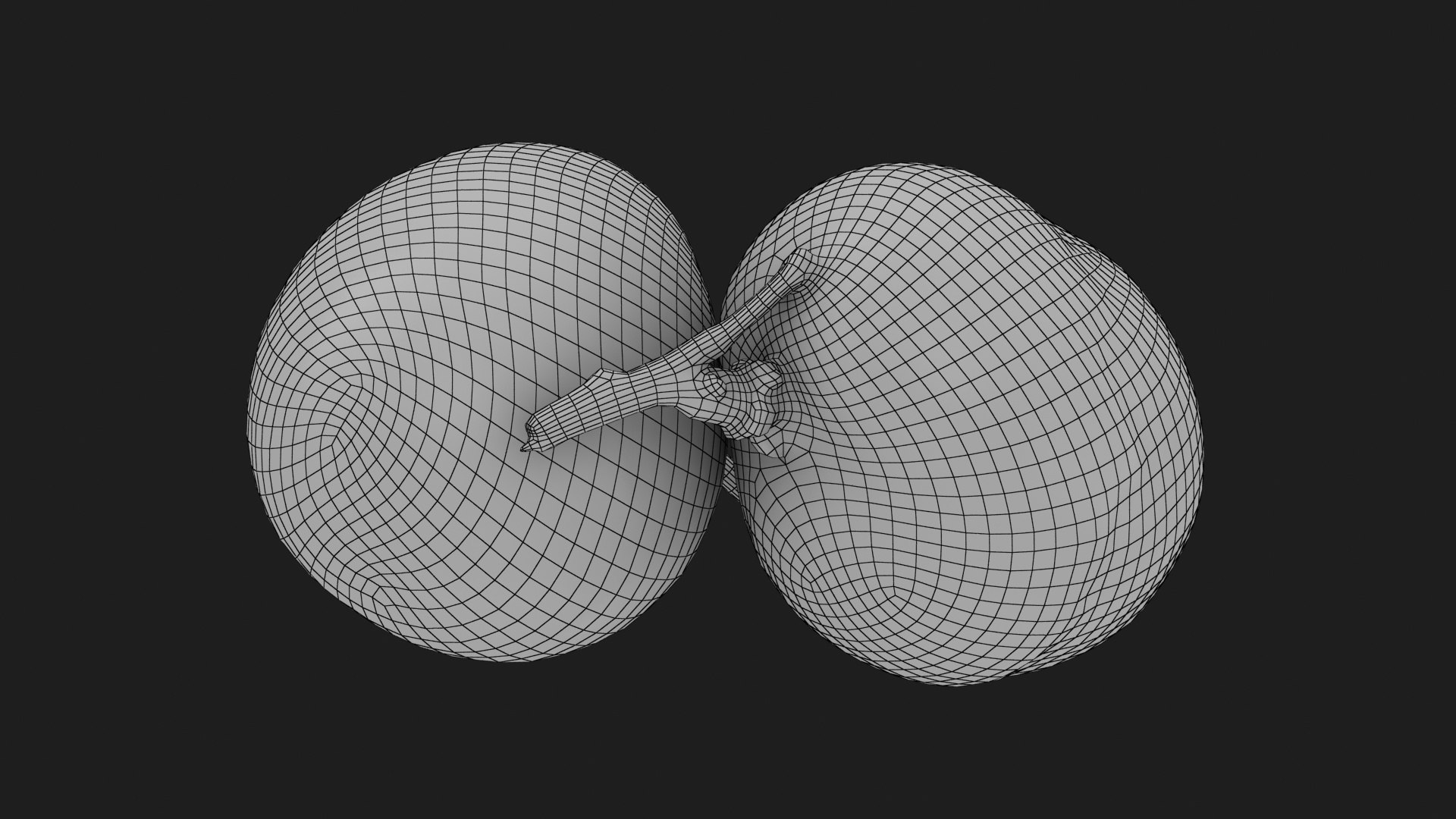 3D model Longan Fruit https://p.turbosquid.com/ts-thumb/5T/v0z8ws/uf/longanfruit_g0003/jpg/1695752831/1920x1080/fit_q87/81c7ab4b48faaaaea8eafeaca0c20ac6b45853ca/longanfruit_g0003.jpg