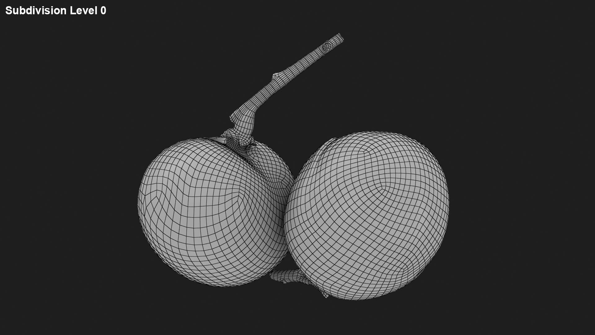 3D model Longan Fruit https://p.turbosquid.com/ts-thumb/5T/v0z8ws/uy/longanfruit_g0000/jpg/1695752830/1920x1080/fit_q87/c4547ac76e53c53a3e1a2859a881ee39b1224b16/longanfruit_g0000.jpg
