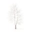 American Sweetgum with Snow 3D Model 9m
