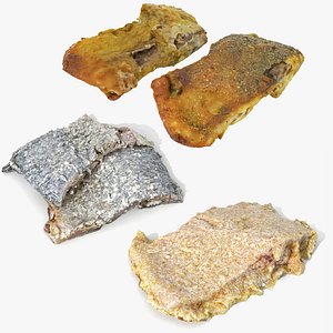 Realistic Fish Slice Fried Collection stage preparation